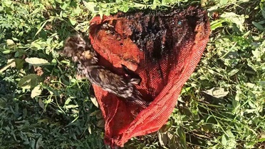 Temizlik Görevlisi Yavru Kediyi Kuyudan Kurtardı