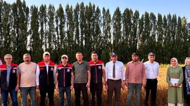 Yerli Ekmeklik Buğday 'PARLA' Üreticilerin Umudu
