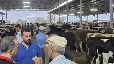 Aydın'da Hayvan Pazarlarında Denetim