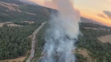 Altıeylül'de orman yangını kontrol altında