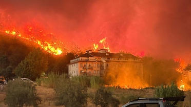 Muğla'nın Fethiye ilçesinde orman yangını