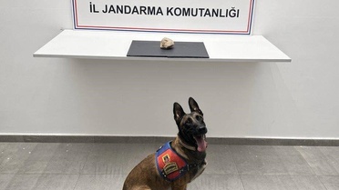 Şanlıurfa'da Uyuşturucu Operasyonu