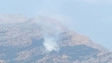 Siirt'te Kalems Dağı'nda Yangın