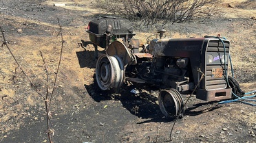 Fethiye'de Orman Yangını: 50 Hektar Zarar