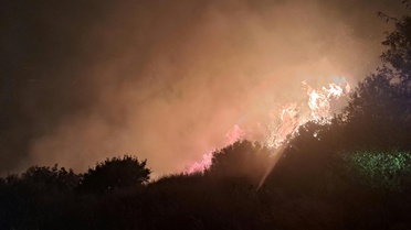 Antalya'da Otluk Alanda Yangın