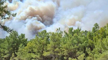 Seydikemer'deki yangın ormana sıçradı: Saklıkent Kanyonu kapatıldı