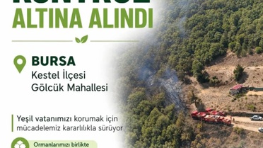 Kestel'deki Yangın Kontrol Altına Alındı