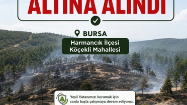 Harmancık'ta Yangın Kontrol Altına Alındı