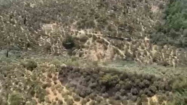 Kazdağları’nda Yangın Kontrol Altına Alındı