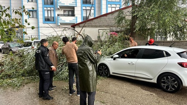 Horasan'da Fırtına Ağaç Devrip Araçları Zarar Verdi