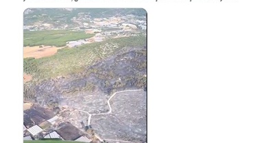 OGM, Muğla ve Antalya'daki Yangını Kontrol Altına Aldı