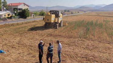 Adana'da Nohut Hasadı Başladı
