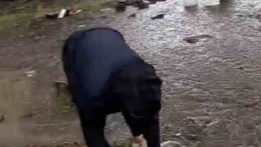 Samsun'da Tarım İşçilerini Vuran Sel