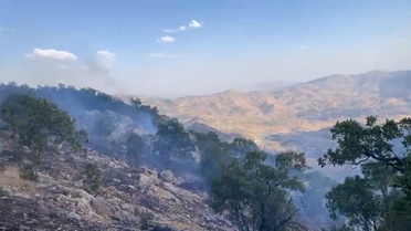 Siirt'te Orman Yangınlarıyla Mücadele