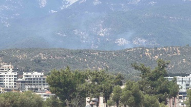 Zeytinlikte çıkan yangın Kazdağı Milli Parkı’na sıçradı