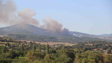 Bayramiç'te Orman Yangınına Hızlı Müdahale
