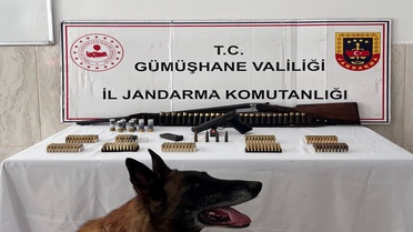 Kürtün'de Ruhsatsız Silah Operasyonu