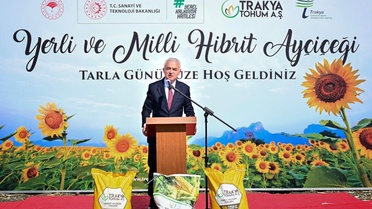 Yerli Hibrit Ayçiçeği Hasadı Kutlandı
