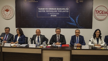 Türkiye, İncir Üretiminde Dünya Birincisi
