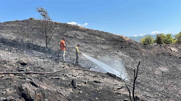 Alanya’da ağaçlık alanda çıkan yangında 10 dönüm alan ve sera zarar gördü