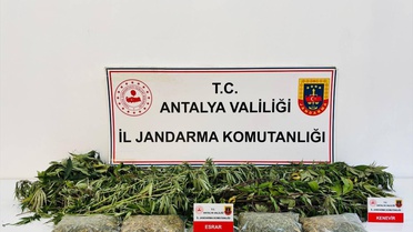 Alanya'da Uyuşturucu Operasyonu: 1 Kişi Gözaltına Alındı, 2 Kilo 642 Gram Esrar Ele Geçirildi