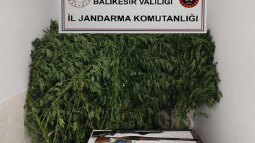 Balıkesir'de 6 ilçede uyuşturucu operasyonu: 21 şüpheli yakalandı, 3 bin 714 hap ele geçirildi
