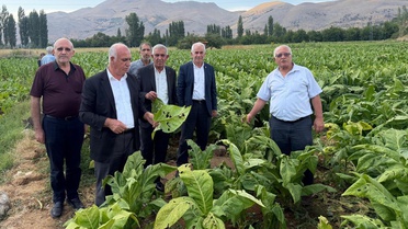 Adıyaman'ın Çelikhan İlçesinde Dolu Yağışı Tütün Üreticilerini Vurdu, Hasar Tespit Çalışmaları Başladı