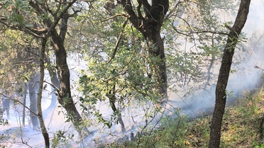 Bolu'nun Mudurnu ilçesine bağlı Çepni köyünde evin bahçesinde çıkan yangın ormanlık alanda kontrol altına alındı