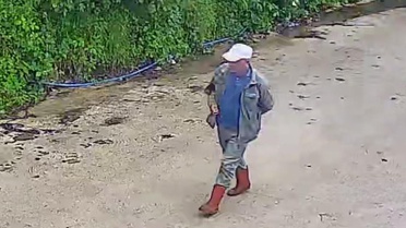 Ordu'nun Aybastı ilçesinde kaybolan 56 yaşındaki Eyüp Seçgin için AFAD ve jandarma seferber oldu