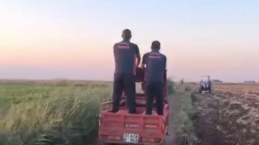 Hatay'ın Reyhanlı ilçesinde bataklığa saplanan inek, itfaiye ekiplerinin çalışmasıyla kurtarılıp veterinere teslim edildi