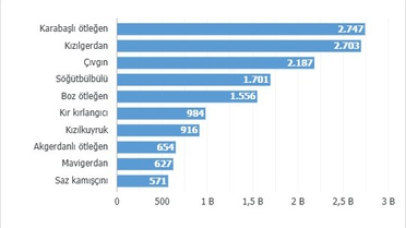 2025'te 179 farklı türden 34 bin 360 kuş halkalandı