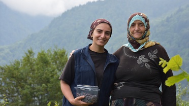 Trabzon'da üniversiteli genç kadın, 1300 rakımdaki 250 maviyemiş fidanıyla yıllık 300 kg ürün ticaretine atıldı