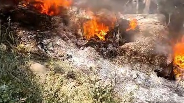 Bursa Keles'te orman yangınını mahalleli büyümeden söndürdü