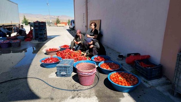 Niğde'de kışlık salça hazırlığında halde çekim kolaylığı