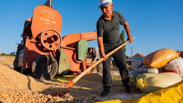 Yozgat Akdağmadeni'nde nohut hasadı sürüyor