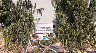 Karacabey'deki uyuşturucu operasyonunda 22 kilo kubar esrar ele geçirildi