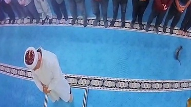 Namazda tekmelediği kedi imamın başına çarptı! Şüpheli gözaltına alındı