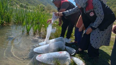 Karabük'teki 6 gölete 105 bin yavru balık salındı, protokol törene katıldı