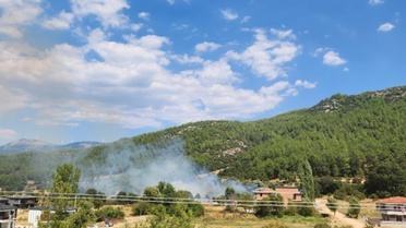 Muğla Menteşe'de otluk alanda yangın çıktı, ekipler alevlere müdahale ediyor