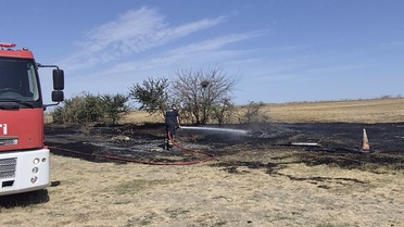 Tekirdağ Muratlı'da kırsalda çıkan yangın ekiplerin müdahalesiyle söndürüldü