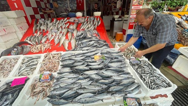 Karadeniz'de palamut bolluğu tezgahları şenlendirdi, fiyatlar 30 ila 100 lira arasında