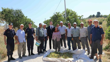 Manisa Selendi'de 'Yeşil Altın' fıstıkta hasat başladı, coğrafi işaret başvurusu yapıldı