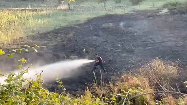 Sakarya Kaynarca'da kontrolsüz yakılan ateş otluk alana sıçradı, 4 dönüm zarar gördü