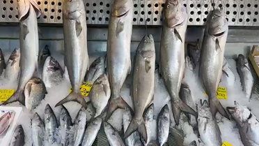 Usta balıkçı Kenan Balcı, ağımızı attığımız her yerde bol ve ucuz balık olduğunu söyledi