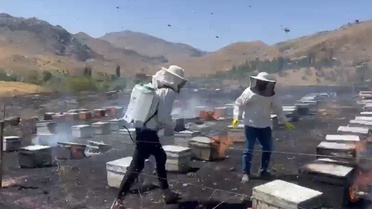 Adıyaman Gerger'de otluk alanda çıkan yangın 200 arılı kovanı kül etti