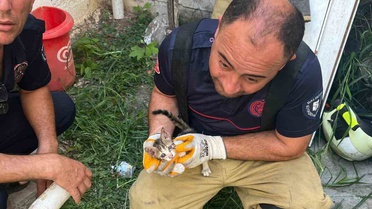 Balıkesir Erdek'te iki bina arasına sıkışan yavru kedi itfaiye ekiplerince kurtarıldı