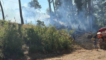 Antalya Manavgat'ta kopan enerji hattı yangında 1 dönüm ormanlık alan kül oldu