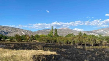 Erzincan'da anız yangını itfaiyenin hızlı müdahalesiyle çevreye yayılmadan söndürüldü