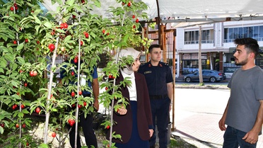 Gümüşhacıköy Kaymakamı Büşra Güneş esnafı ziyaret edip talep ve önerileri dinledi