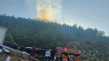 Hatay Hassa'da orman yangını havadan ve karadan müdahaleyle büyümeden kontrol altına alındı
